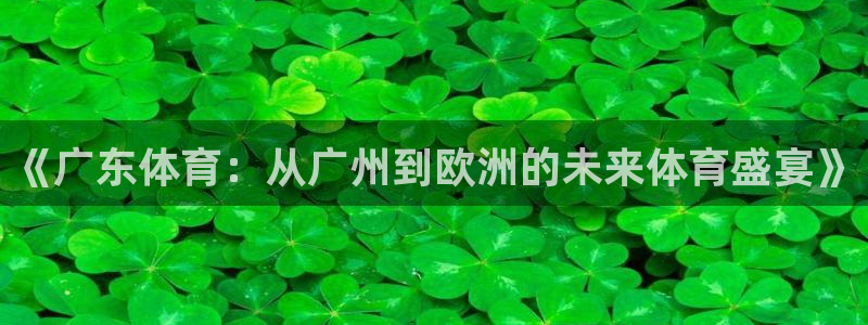 《广东体育：从广州到欧洲的未来体育盛宴》