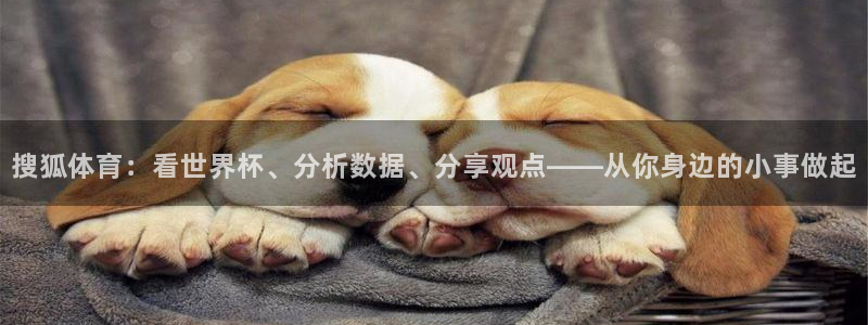 搜狐体育：看世界杯、分析数据、分享观点——从你身边的小事做起
