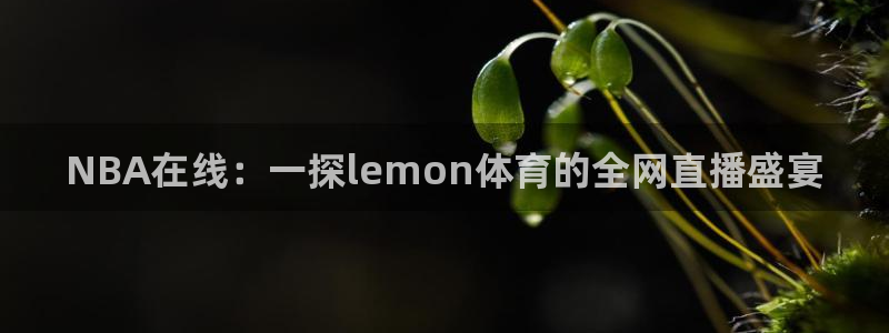 NBA在线：一探lemon体育的全网直播盛宴