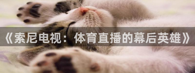 《索尼电视：体育直播的幕后英雄》