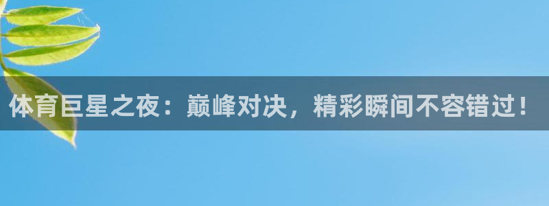 体育巨星之夜：巅峰对决，精彩瞬间不容错过！