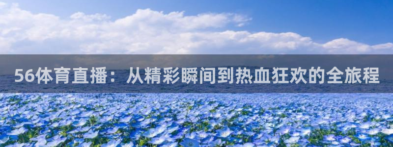 56体育直播：从精彩瞬间到热血狂欢的全旅程