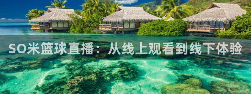 SO米篮球直播：从线上观看到线下体验