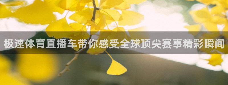 极速体育直播车带你感受全球顶尖赛事精彩瞬间