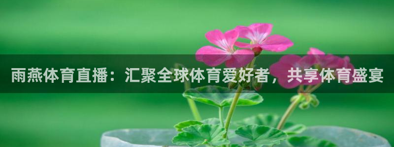 雨燕体育直播：汇聚全球体育爱好者，共享体育盛宴