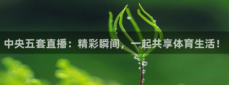 中央五套直播：精彩瞬间，一起共享体育生活！