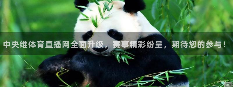 中央维体育直播网全面升级，赛事精彩纷呈，期待您的参与！