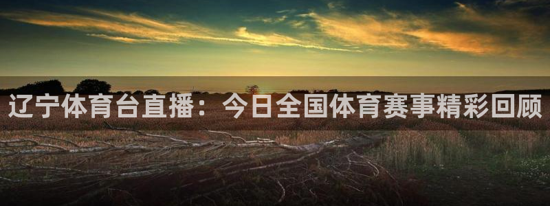 辽宁体育台直播：今日全国体育赛事精彩回顾
