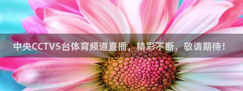 中央CCTV5台体育频道直播，精彩不断，敬请期待！