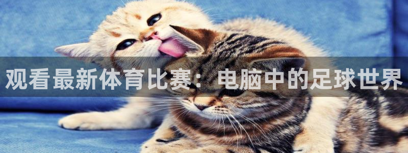 观看最新体育比赛：电脑中的足球世界