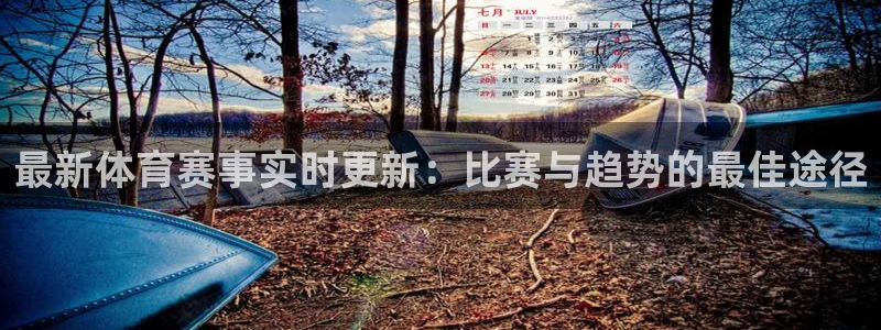 最新体育赛事实时更新：比赛与趋势的最佳途径