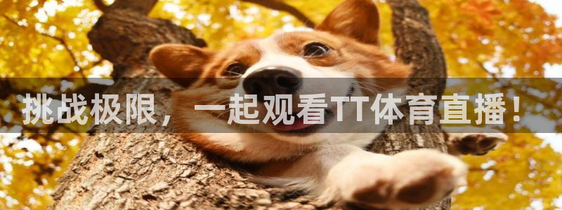 挑战极限，一起观看TT体育直播！