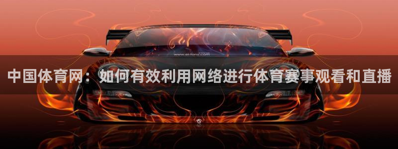 中国体育网：如何有效利用网络进行体育赛事观看和直播