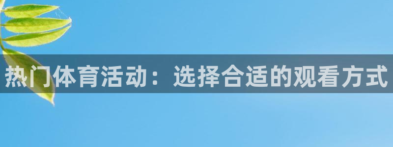 热门体育活动：选择合适的观看方式