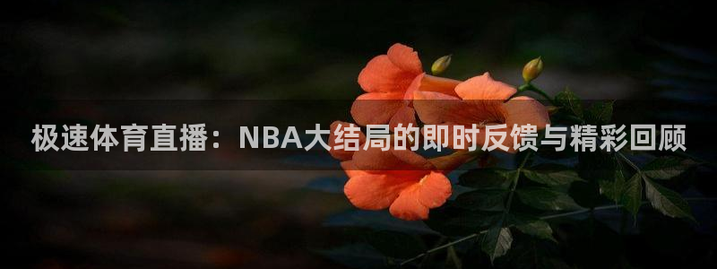 极速体育直播：NBA大结局的即时反馈与精彩回顾